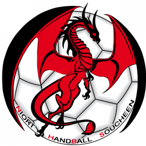 Niort Handball Soucheen